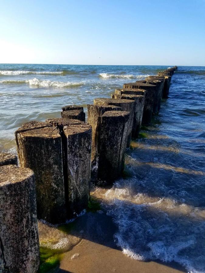 Zingst Achtern Diek 12D Elly Ngoại thất bức ảnh