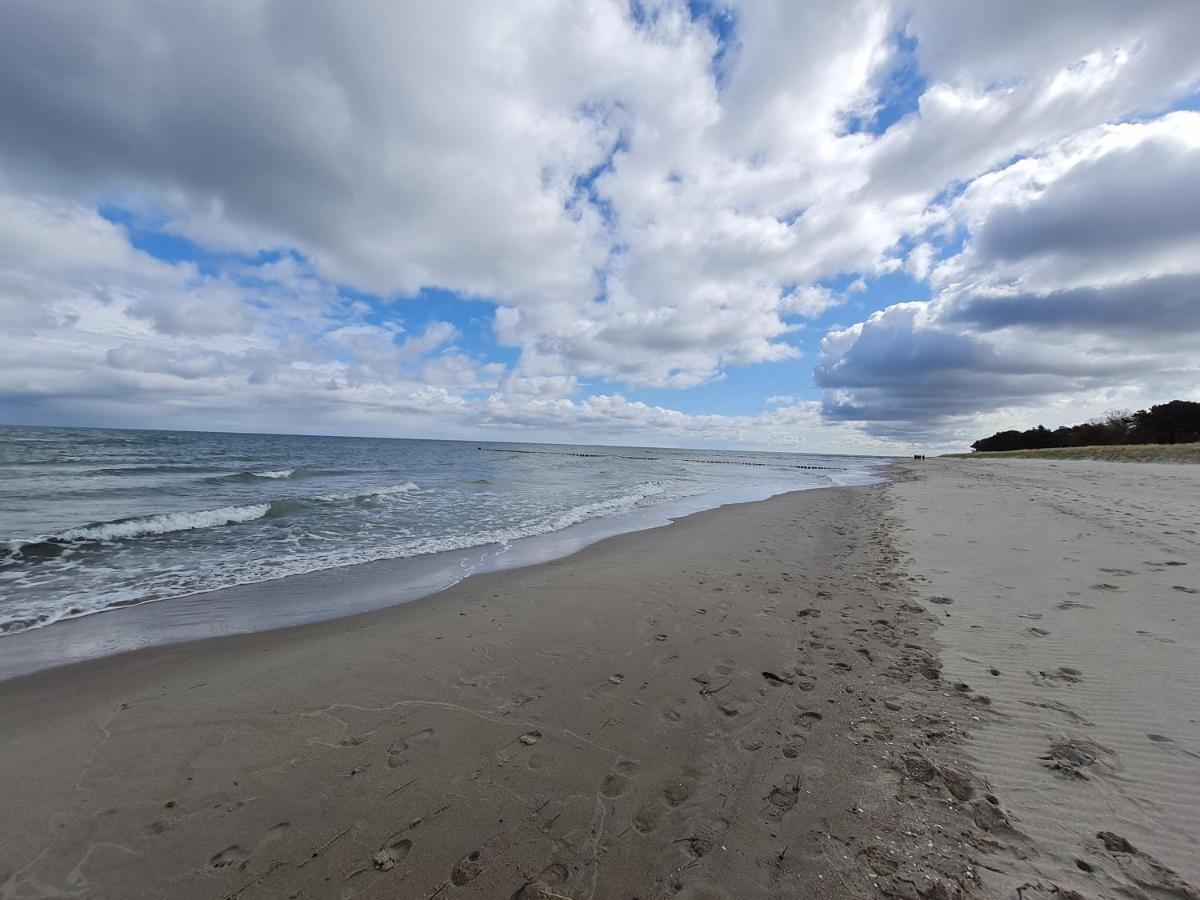 Zingst Achtern Diek 12D Elly Ngoại thất bức ảnh
