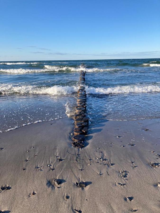 Zingst Achtern Diek 12D Elly Ngoại thất bức ảnh