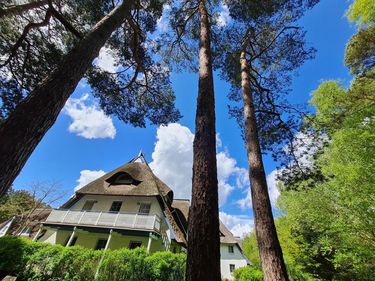 Zingst Achtern Diek 12D Elly Ngoại thất bức ảnh